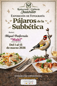 GALERÍA MIGUEL PONFERRADA «MAKI»